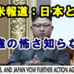 「日本が同盟国で良かった！」小野寺防衛大臣の発言にアメリカから感謝の声が殺到