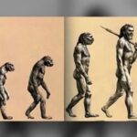 人は猿からの進化ではない理由…人類進化の真理「進化論」は嘘だった？