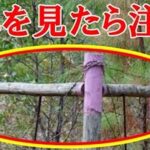 アメリカで紫色の柵を見かけたら要注意…実はこんな意味があったんだと話題に…