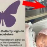新生児のベッドに飾られた紫色の蝶々のステッカーの意味…日本の病院でも導入して欲しいと話題に…