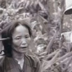 韓国人がベトナムに残した悲劇…ライダイハンを史実から消去画策…