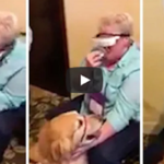 盲目の女性、視覚補正メガネをつけてパートナーの盲導犬を初めて目にする・・・