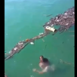 溺れた人と助けた人が水に沈んでいく映像…ショッキングだと話題に…